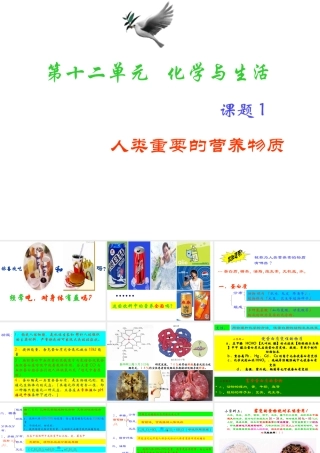 2013年九年级化学下册 第十二单元 课题1 人类重要的营养物质课件 新人教版