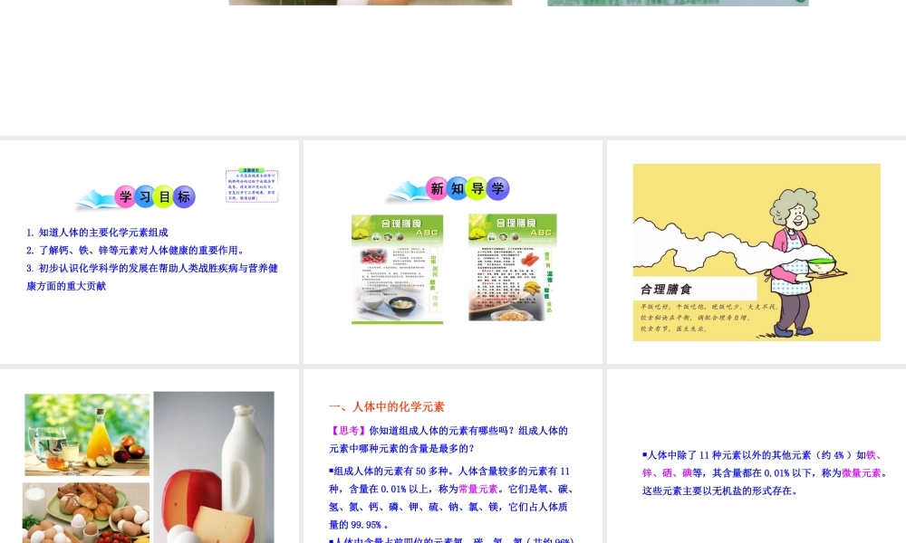 2013年九年级化学下册 第十二单元 课题2 化学元素与人体健康教学课件 新人教版（新课标）