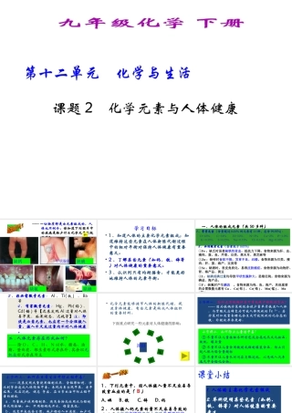2013年九年级化学下册 第十二单元 课题2 化学元素与人体健康课件 新人教版