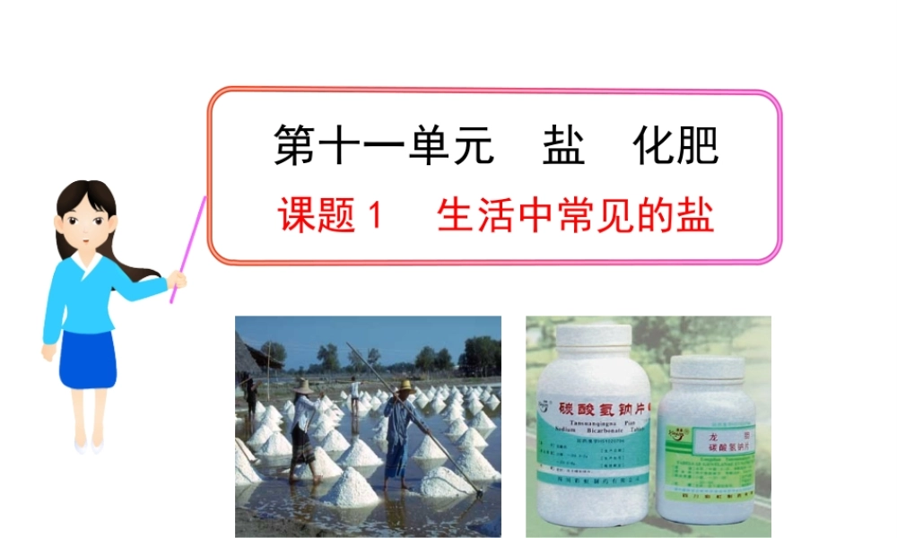 2013年九年级化学下册 第十一单元 课题1 生活中常见的盐教学课件 新人教版（新课标）