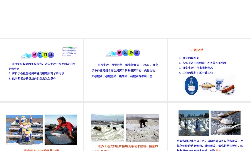 2013年九年级化学下册 第十一单元 课题1 生活中常见的盐教学课件 新人教版（新课标）
