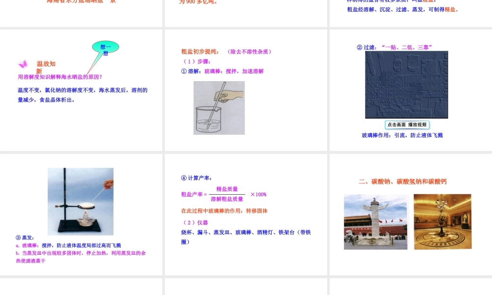 2013年九年级化学下册 第十一单元 课题1 生活中常见的盐教学课件 新人教版（新课标）