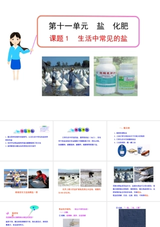 2013年九年级化学下册 第十一单元 课题1 生活中常见的盐教学课件 新人教版（新课标）