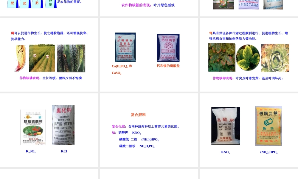 2013年九年级化学下册 第十一单元 课题2 化学肥料教学课件 新人教版（新课标）