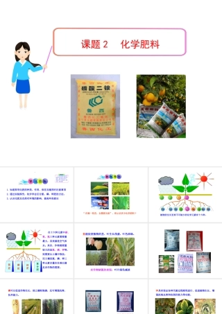 2013年九年级化学下册 第十一单元 课题2 化学肥料教学课件 新人教版（新课标）