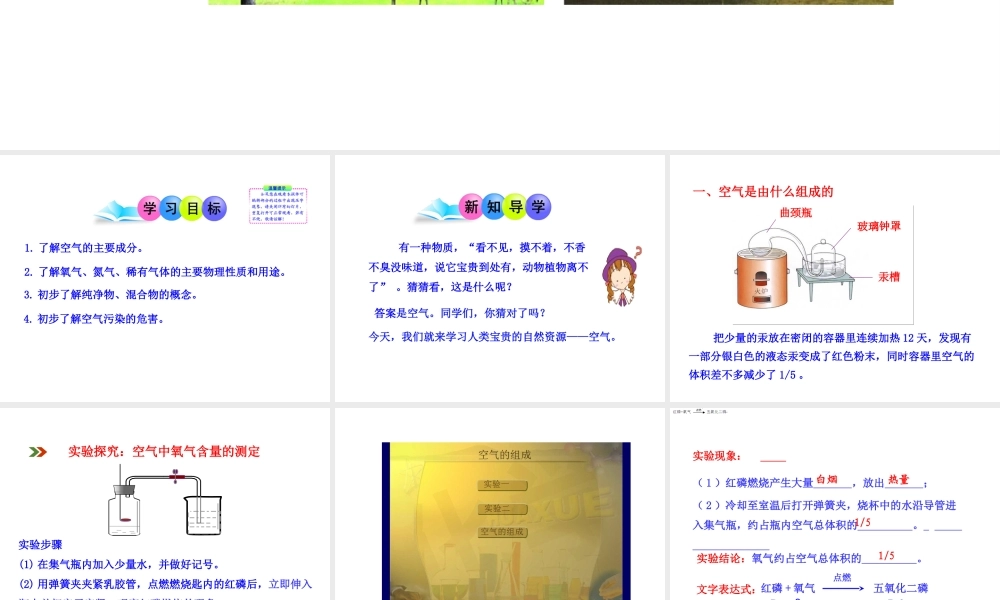 2013年秋九年级化学上册 第二单元 课题1 空气教学课件 （新版）新人教版