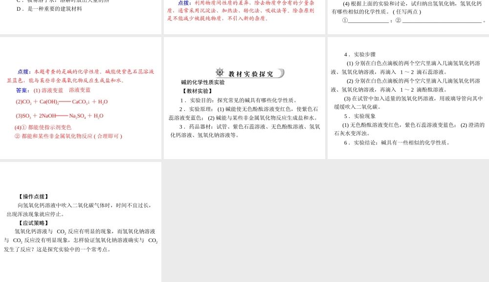 2012年中考化学复习资料 第19讲 常见的碱课件