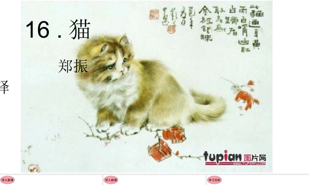 16.猫课件