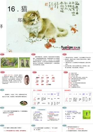 16.猫课件