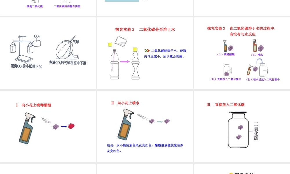 2013年秋九年级化学上册 第六单元 课题3 二氧化碳和一氧化碳教学课件 （新版）新人教版
