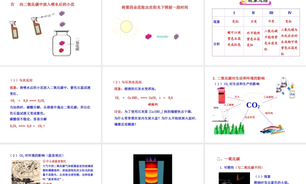 2013年秋九年级化学上册 第六单元 课题3 二氧化碳和一氧化碳教学课件 （新版）新人教版
