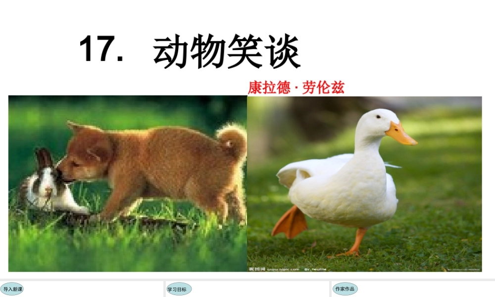 17.动物笑谈 课件