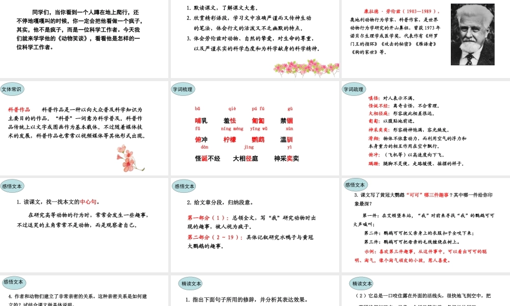 17.动物笑谈 课件