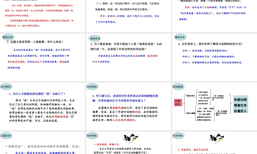 17.动物笑谈 课件