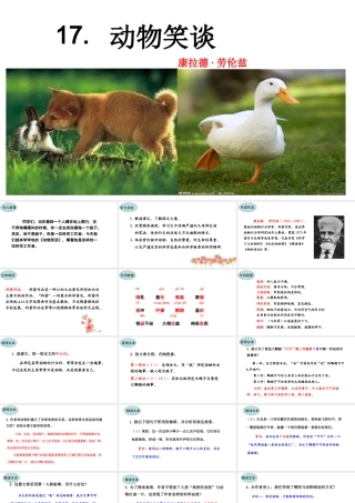 17.动物笑谈 课件