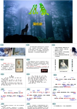 18.狼 课件