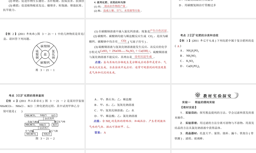 2012年中考化学复习资料 第21讲 常见的盐和化学肥料课件