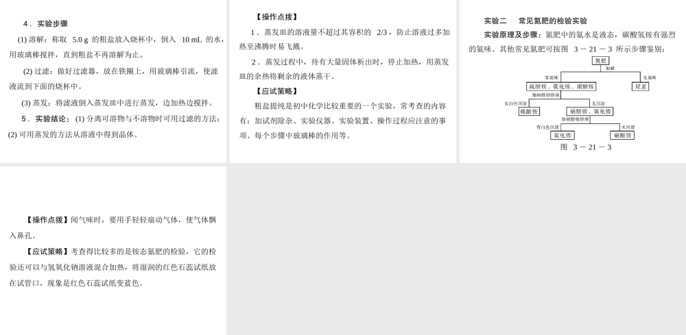 2012年中考化学复习资料 第21讲 常见的盐和化学肥料课件