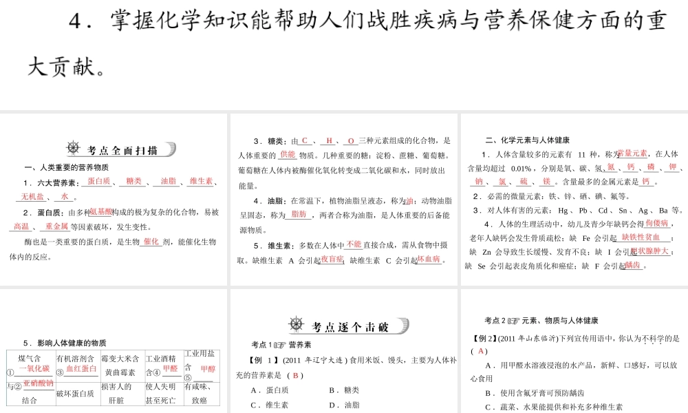 2012年中考化学复习资料 第23讲 化学与人体健康课件