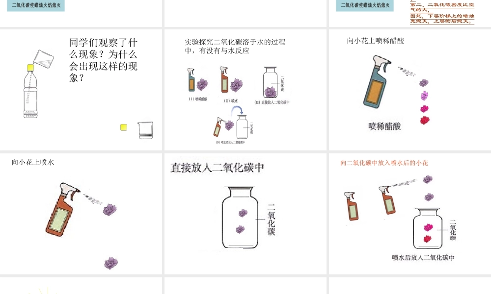 2013年秋九年级化学上册 第六单元 碳和碳的氧化物 课题3 二氧化碳和一氧化碳精品课件 （新版）新人教版