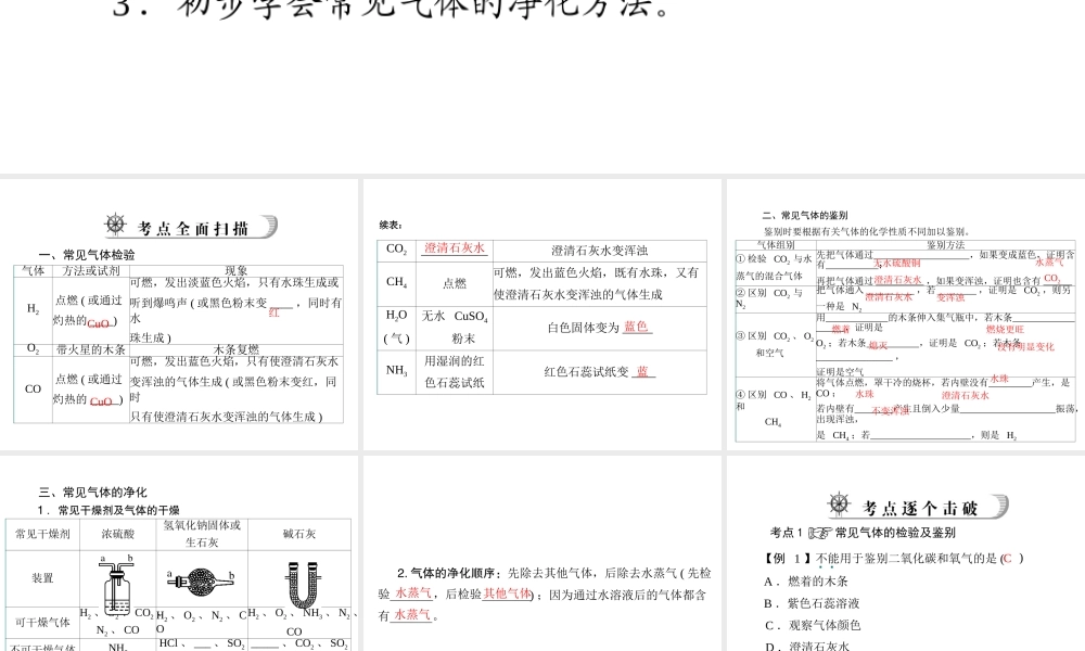 2012年中考化学复习资料 第27讲 气体的检验及鉴别课件