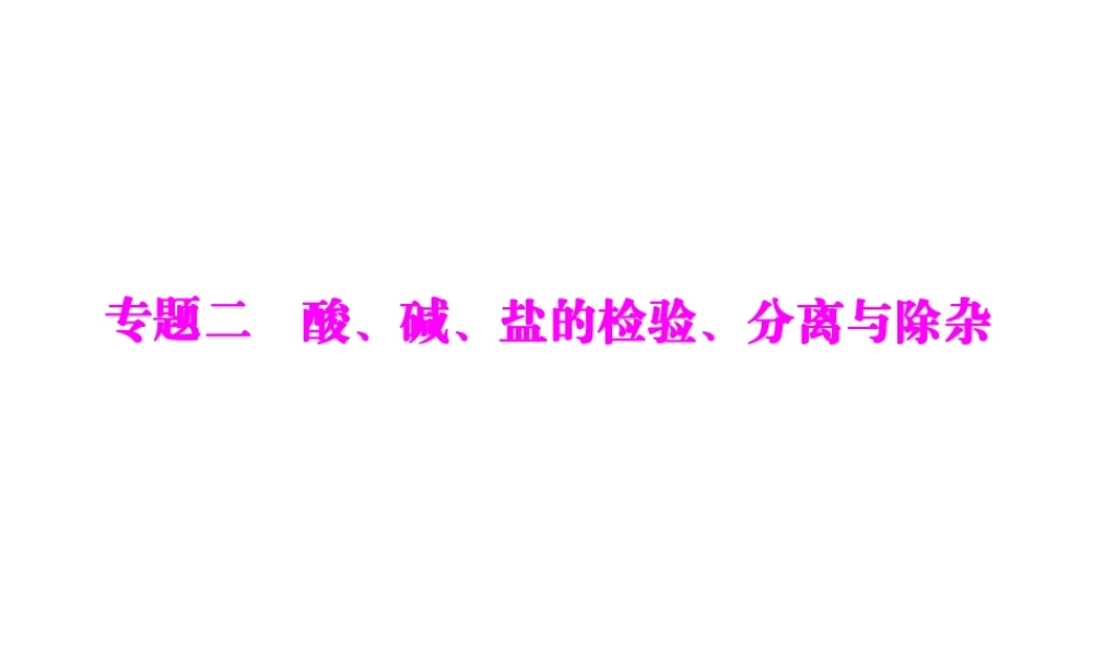2012年中考化学复习资料 专题二 酸、碱、盐的检验、分离与除杂课件