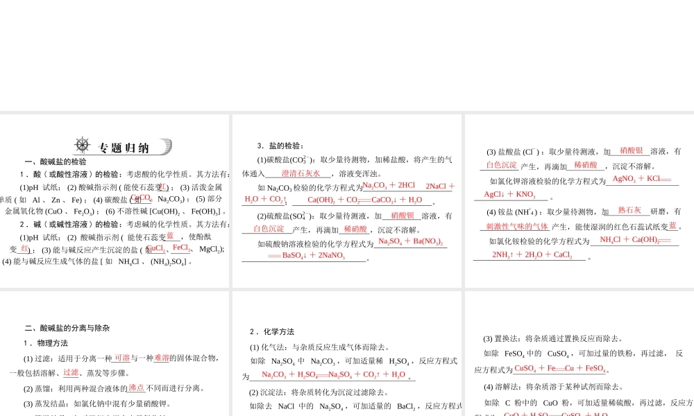 2012年中考化学复习资料 专题二 酸、碱、盐的检验、分离与除杂课件