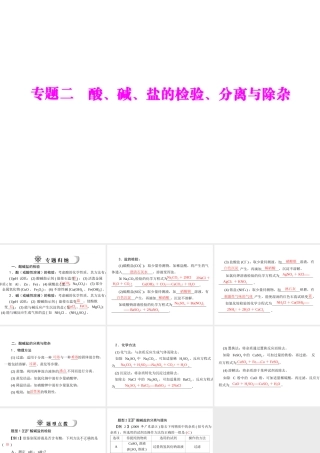 2012年中考化学复习资料 专题二 酸、碱、盐的检验、分离与除杂课件