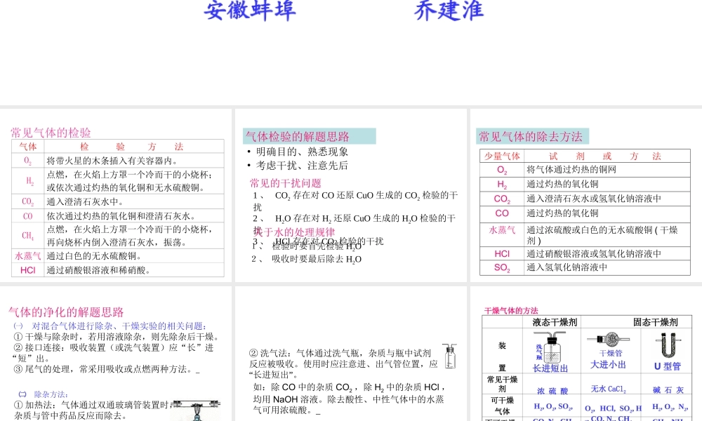 2007年安徽省九年级化学专题辅导 气体的验证与净化 新课标 人教版
