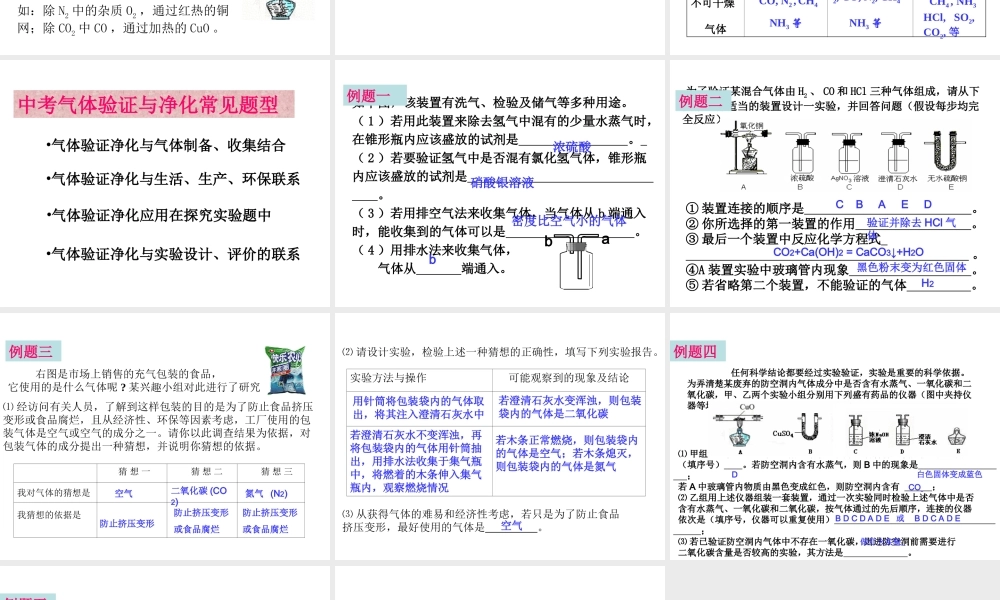 2007年安徽省九年级化学专题辅导 气体的验证与净化 新课标 人教版