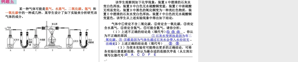 2007年安徽省九年级化学专题辅导 气体的验证与净化 新课标 人教版