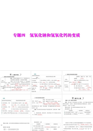 2012年中考化学复习资料 专题四 氢氧化钠和氢氧化钙的变质课件