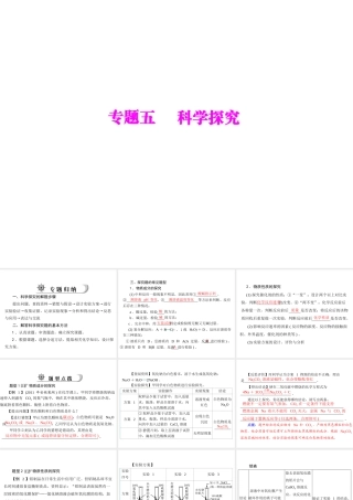 2012年中考化学复习资料 专题五 科学探究课件
