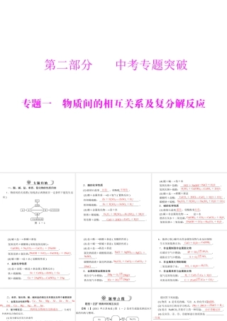 2012年中考化学复习资料 专题一 物质间的相互关系及复分解反应课件