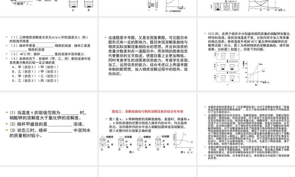 2012年中考化学九年级下册 考向及备考策略指导教学课件 人教新课标版