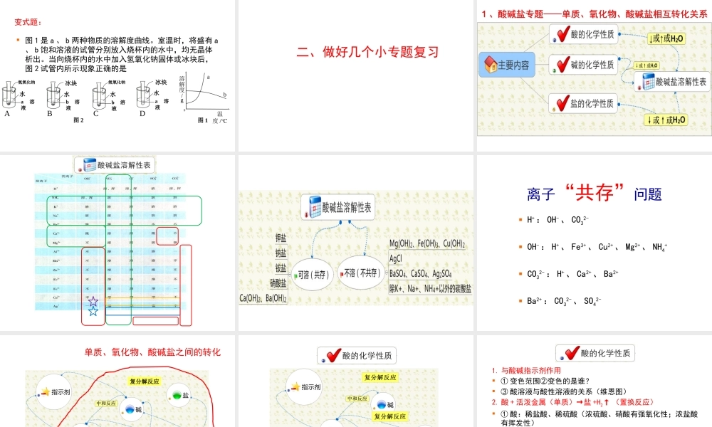 2012年中考化学九年级下册 考向及备考策略指导教学课件 人教新课标版