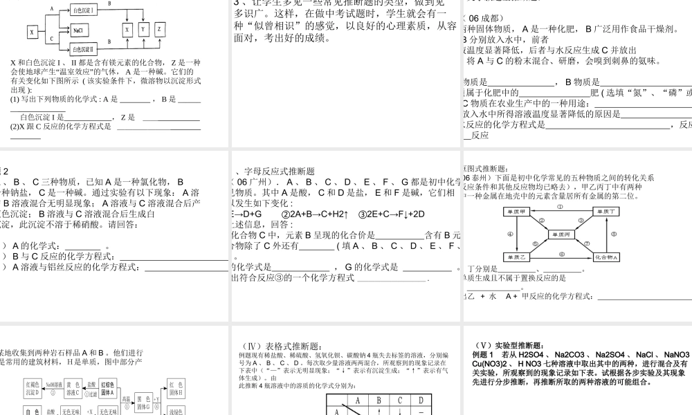 2007中考推断题复习策略（发言稿）