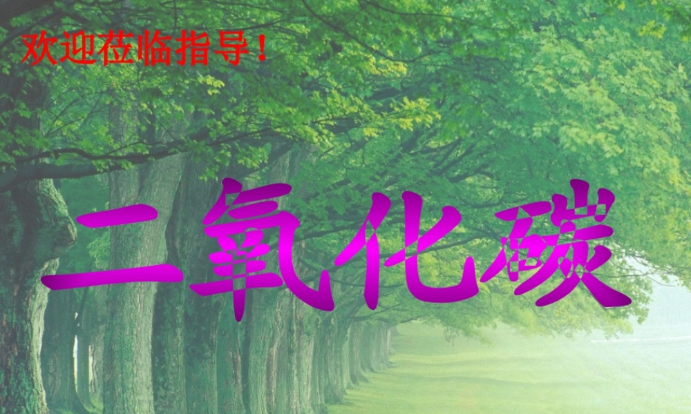 2009年二氧化碳性质课件