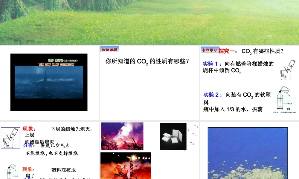 2009年二氧化碳性质课件