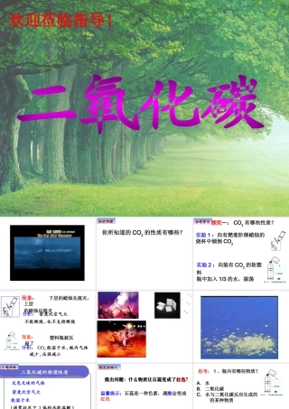 2009年二氧化碳性质课件