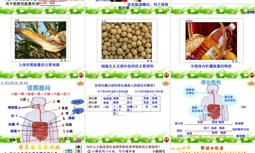 2009年中考科学综合复习课件－从科学角度看三“鹿奶粉”事件课件