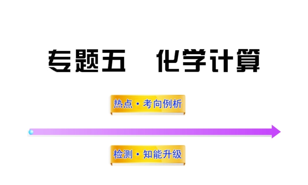 2012年中考化学考点知识备考复习课件11