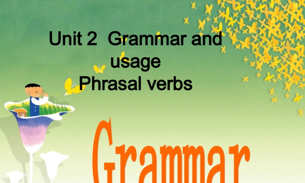 20090220高二英语（Grammar，U2_M7）