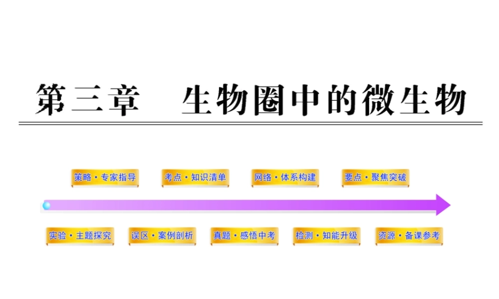 2012年中考生物第一轮复习资料 第二单元第三章生物圈中的微生物课件 济南版