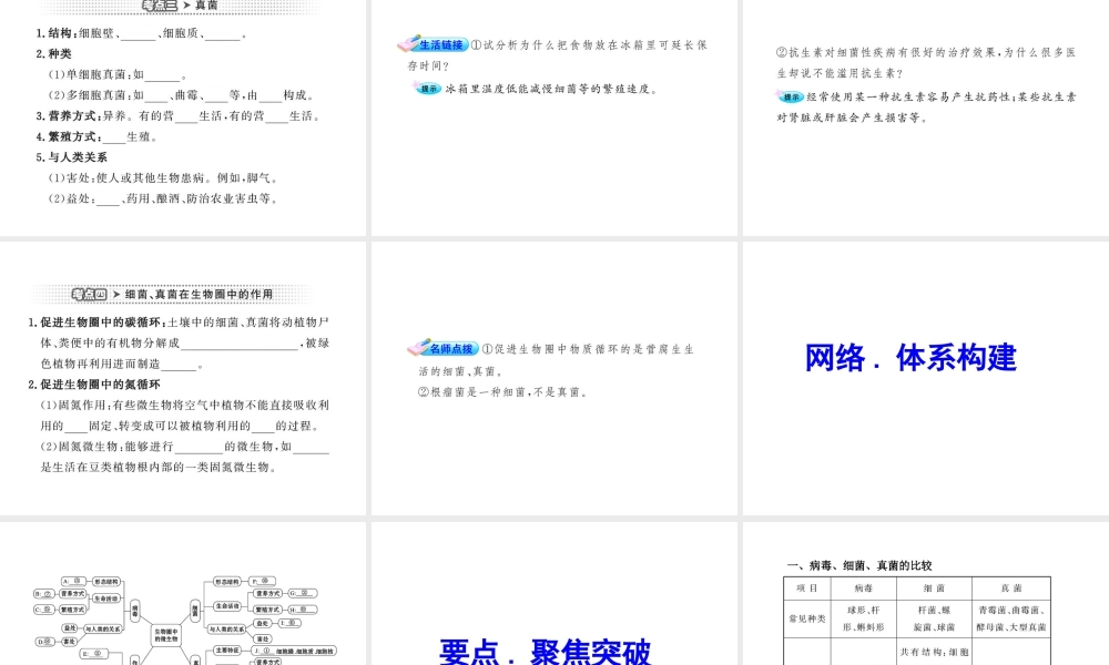 2012年中考生物第一轮复习资料 第二单元第三章生物圈中的微生物课件 济南版