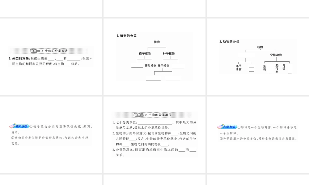 2012年中考生物第一轮复习资料 第二单元第四章生物的分类课件 济南版