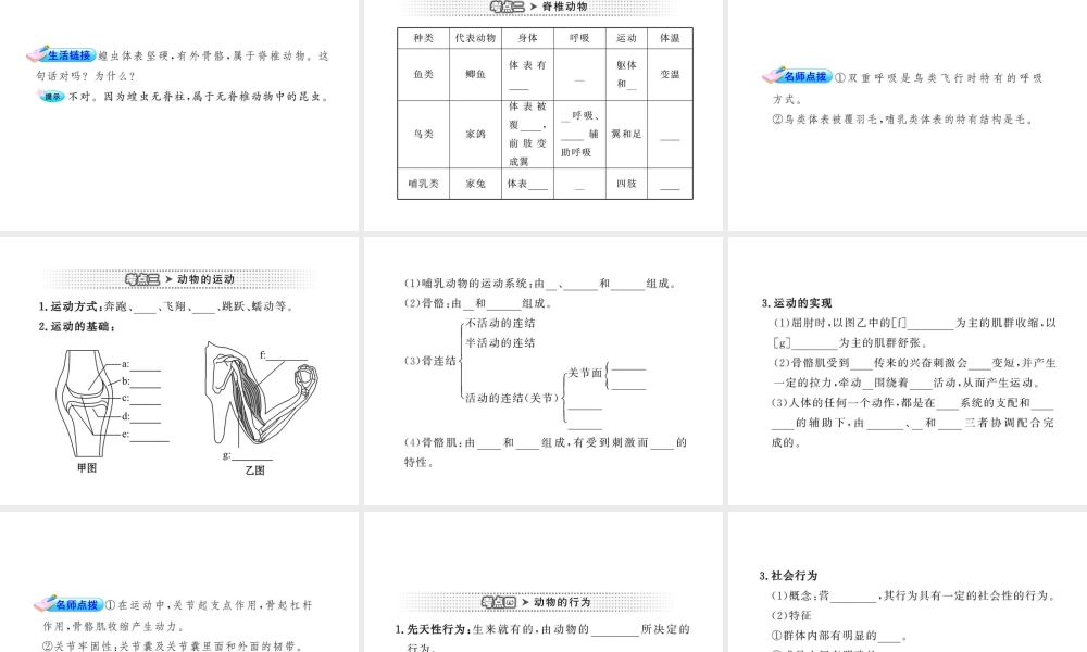 2012年中考生物第一轮复习资料 第二单元丰富多彩的生物世界第二章生物圈中的动物课件 济南版