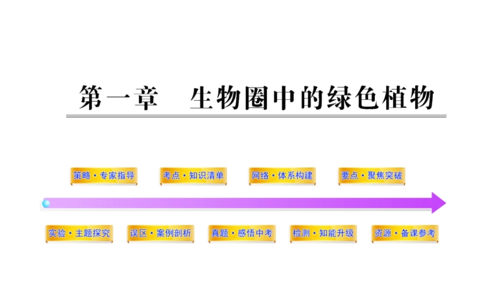 2012年中考生物第一轮复习资料 第二单元丰富多彩的生物世界第一章生物圈中的绿色植物课件 济南版
