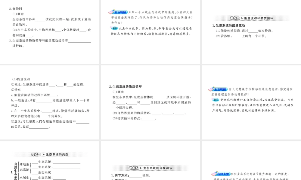 2012年中考生物第一轮复习资料 第六单元生物与环境 第一章生态系统课件 济南版