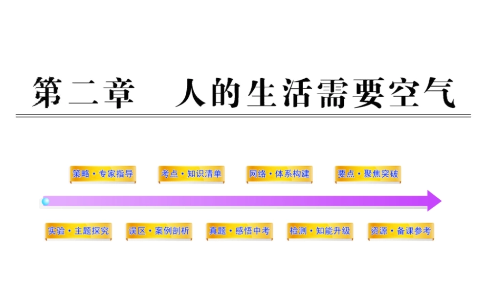 2012年中考生物学第二轮专题复习资料 第三单元生物圈中的人 第二章人的生活需要空气课件 济南版